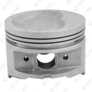 Juego de pistones Autorrad Century 2200 JM491QE-ME 2007-2011 1.00