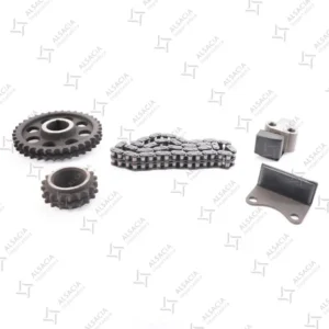 Kit de distribución ZX Grand Tiger 2200 491QME 2010-2016 5 piezas